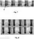 Fig. 05 - DISPOSABLE ELECTROCHEMICAL SENSING STRIPS AND ASSOCIATED METHODS