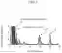 Fig. 08 - Inspection method