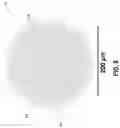Fig. 09 - SENSOR CIRCUITRY FOR GAS SENSING APPLICATIONS