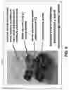 Fig. 07 - METHOD AND PROCESS FOR CREATING NANOMATERIALS FOR SENSING AIRBORNE ENVIRONMENTAL POLLUTANTS (CO, NO2, O3)