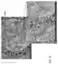 Fig. 17 - METHOD AND PROCESS FOR CREATING NANOMATERIALS FOR SENSING AIRBORNE ENVIRONMENTAL POLLUTANTS (CO, NO2, O3)