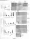 Fig. 05 - ECM COMPOSITION, TUMOR MICROENVIRONMENT PLATFORM AND METHODS THEREOF