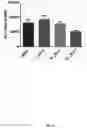 Fig. 10 - Dock derived compound against laminin receptor (37 LR) and uses thereof