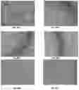 Fig. 33 - Dock derived compound against laminin receptor (37 LR) and uses thereof