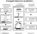 Fig. 02 - Transgenic biosensor
