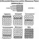 Fig. 07 - Transgenic biosensor