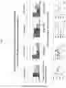 Fig. 04 - MEASURING FREQUENCY OF VARIOUS SUBSETS OF PATHOGEN-SPECIFIC T CELLS IN PERIPHERAL BLOOD AS ESTABLISHED BY VARIOUS PATTERNS OF TCR-INDUCED CA2+ SIGNALING