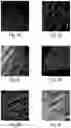 Fig. 05 - Quantitative DNA-based imaging and super-resolution imaging