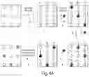 Fig. 06 - Quantitative DNA-based imaging and super-resolution imaging