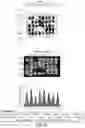 Fig. 08 - Quantitative DNA-based imaging and super-resolution imaging