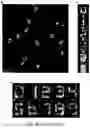 Fig. 11 - Quantitative DNA-based imaging and super-resolution imaging