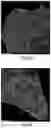 Fig. 13 - Quantitative DNA-based imaging and super-resolution imaging