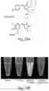 Fig. 35 - Quantitative DNA-based imaging and super-resolution imaging