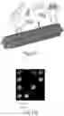Fig. 37 - Quantitative DNA-based imaging and super-resolution imaging