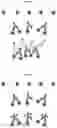Fig. 03 - TARGET DETECTION USING A MONOVALENT ANTIBODY