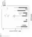 Fig. 02 - MMP-8 activation product, its determination and use