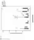 Fig. 03 - MMP-8 activation product, its determination and use