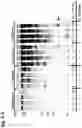 Fig. 09 - MMP-8 activation product, its determination and use