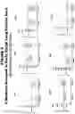 Fig. 06 - Lung cancer markers and uses thereof
