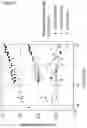 Fig. 04 - METHODS FOR DETERMINING INTERACTION BETWEEN BIOLOGICAL CELLS