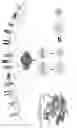 Fig. 02 - Specific GNAI:GIV interaction screening assays, methods and compositions