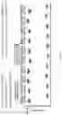 Fig. 08 - Specific GNAI:GIV interaction screening assays, methods and compositions
