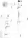 Fig. 06 - SYSTEMS AND METHODS FOR HIGH THROUGHPUT ANALYSIS OF CONFORMATION IN BIOLOGICAL ENTITIES