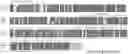 Fig. 01 - Use of LC-MS/MS to quantitate protein biomarkers