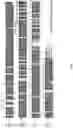 Fig. 04 - Use of LC-MS/MS to quantitate protein biomarkers