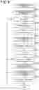 Fig. 08 - Collision determination apparatus and collision determination method