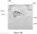 Fig. 16 - Distance detecting systems including gallium and nitrogen containing laser diodes