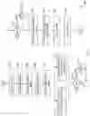 Fig. 02 - Robust arrival picking of seismic vibratory waves