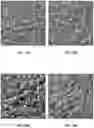 Fig. 16 - Faceted microstructured surface