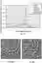 Fig. 29 - Faceted microstructured surface