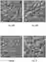 Fig. 30 - Faceted microstructured surface