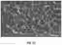 Fig. 33 - Faceted microstructured surface