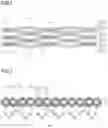 Fig. 02 - INTERMITTENTLY-COUPLED TYPE OPTICAL FIBER RIBBON, MANUFACTURING METHOD THEREOF, OPTICAL FIBER CABLE, AND OPTICAL FIBER CORD