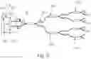 Fig. 09 - Light source assembly