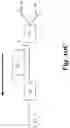 Fig. 29 - Flexible optical fiber ribbons and methods of formation thereof
