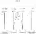 Fig. 09 - Observation optical system and observation apparatus including the same