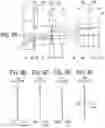 Fig. 10 - Objective optical system, endoscope, and endoscope system