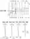 Fig. 11 - Objective optical system, endoscope, and endoscope system