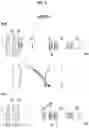 Fig. 06 - Zoom lens and imaging apparatus