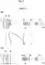 Fig. 08 - Zoom lens and imaging apparatus