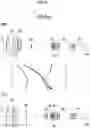 Fig. 10 - Zoom lens and imaging apparatus