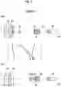 Fig. 05 - Zoom lens and imaging apparatus
