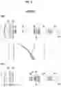 Fig. 07 - Zoom lens and imaging apparatus