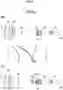 Fig. 10 - Zoom lens and imaging apparatus