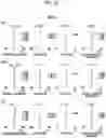 Fig. 17 - Zoom lens and imaging apparatus