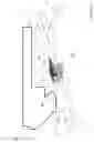 Fig. 09 - Lightsheet microscope
